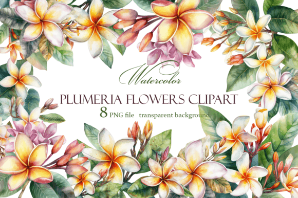 Download White Plumeria Flower Watercolor Clipart - Water Collection