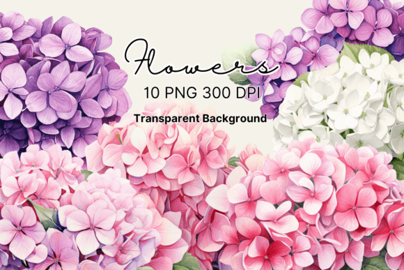 Download Watercolor Hydrangea Flowers Clipart - Water Collection