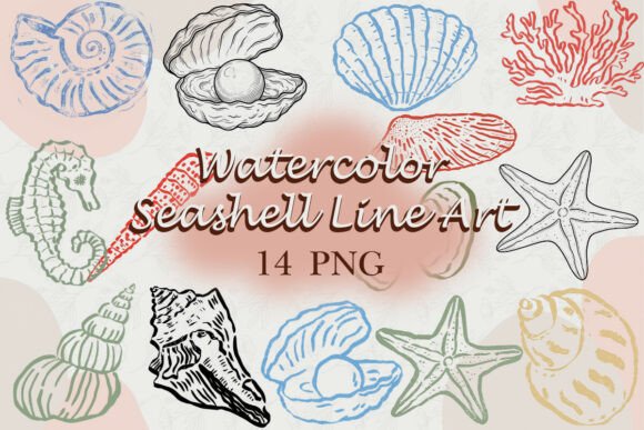 Download Watercolor Seashell Line Art PNG - Water Collection