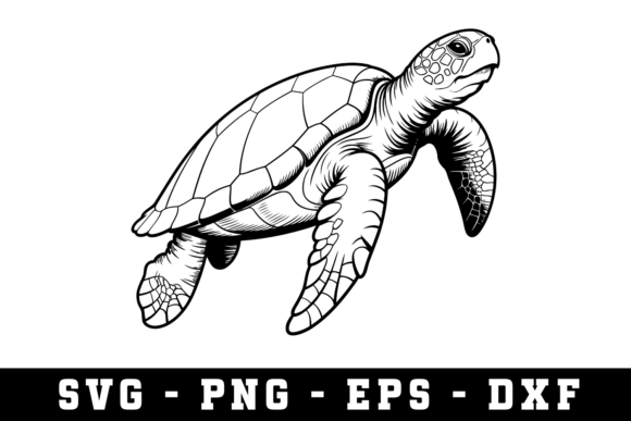 Download Turtle Svg | Svg Cut Files - Turtle svg Collection